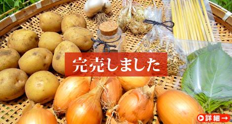 【完売】無農薬・無肥料・自然栽培・自家採取『CARPE DIEM（カルペディエム）育てる種付き野菜ボックス（無農薬・無肥料・自然栽培・固定種、在来種）』