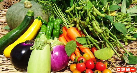 野菜ソムリエがけ山さんの「美味しい野菜ボックス」