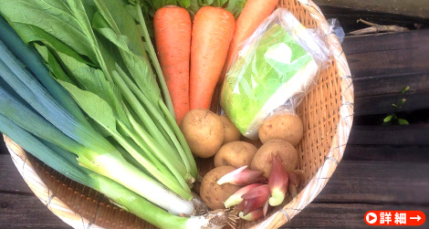 もうり農園の野菜ボックス