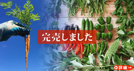 【完売】夫婦愛で育む野菜。無農薬・無肥料・固定種『ののの農園の野菜ボックス』