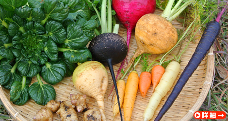 固定種、在来種。『POCO A POCOの野菜ボックス』