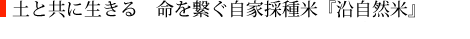 土と共に生きる　命を繋ぐ自家採種米『沿自然米』新米
