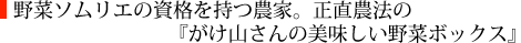 野菜ソムリエの資格を持つ農家。正直な農法で美味しいを追求する「がけ山さんの美味しい野菜ボックス」