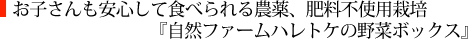 お子さんも安心して食べられる農薬、肥料不使用栽培『自然ファームハレトケの野菜ボックス』