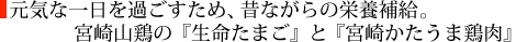 元気な一日を過ごすため、昔ながらの栄養補給。宮崎山鶏の『生命たまご』と『宮崎かたうま鶏肉』