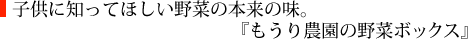 子供に知ってほしい野菜の本来の味。『もうり農園の野菜ボックス』