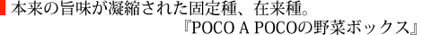 本来の旨味が凝縮された固定種、在来種。『POCO A POCOの野菜ボックス』
